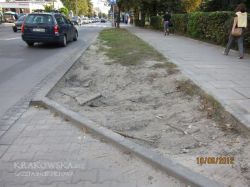 trawa_1.jpg