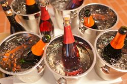 wino_2.jpg wino_2.jpg